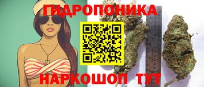 амф Изобильный