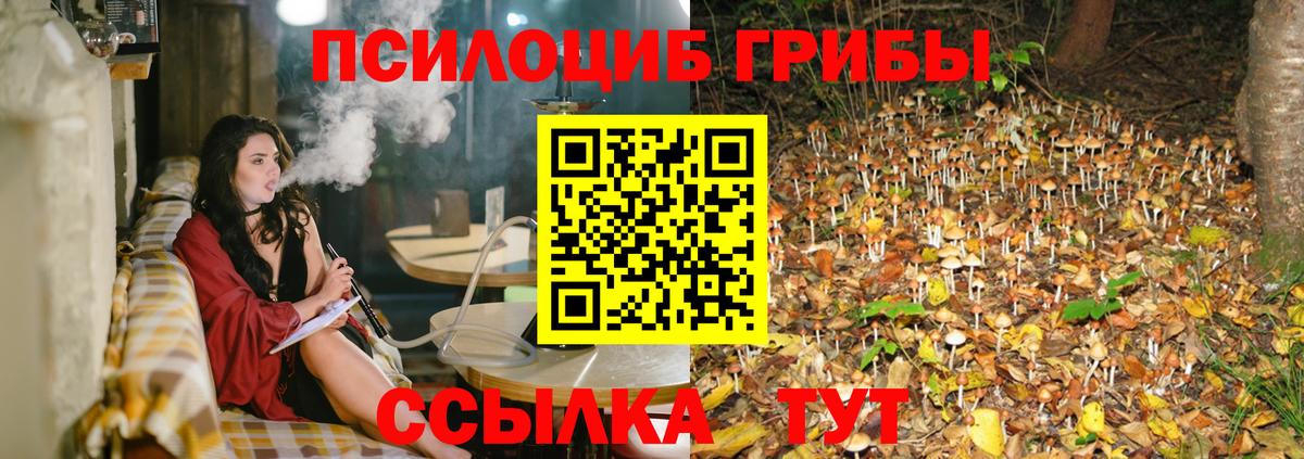 Псилоцибиновые грибы Psilocybine cubensis Валуйки